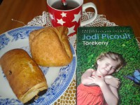 Egy könyv, mely törékennyé tett – ajánló Jodi Picoult: Törékeny c. regényéről