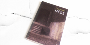 Betokosodott szilánkok – ajánló Závada Péter Mész című kötetéről