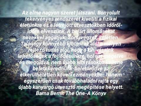 forrás: Barna Berni: The One- A Könyv