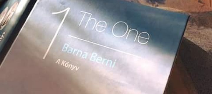 Interjú Barna Bernivel a The One – A könyv írónőjével