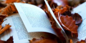 MEGJELENT! – Ray Bradbury ‘Októberi vidék’ című novelláskötete már kapható