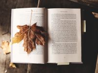 4 + 1 könyv, amit muszáj elolvasnod az ősszel!
