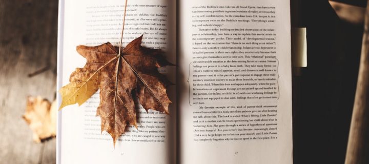 4 + 1 könyv, amit muszáj elolvasnod az ősszel!