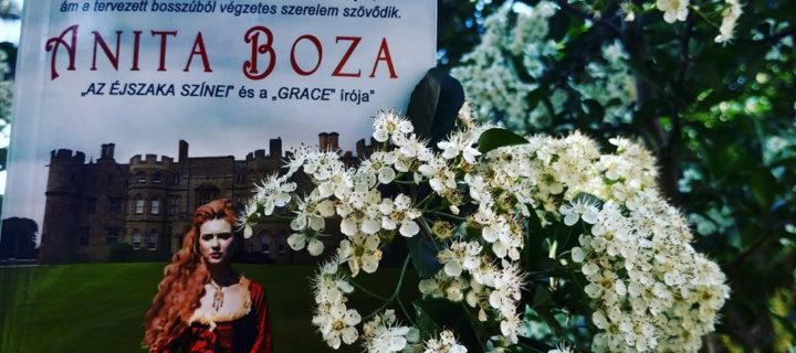 Elrabolt szerelem – ajánló Anita Boza történelmi romantikusáról
